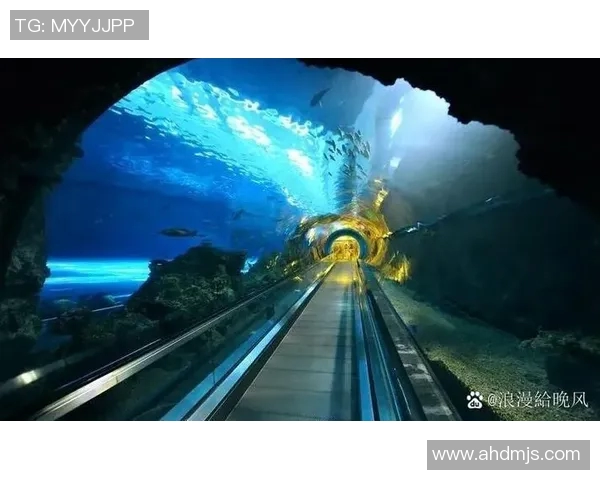 水晶宫又淘到宝——发现隐藏的璀璨奇迹