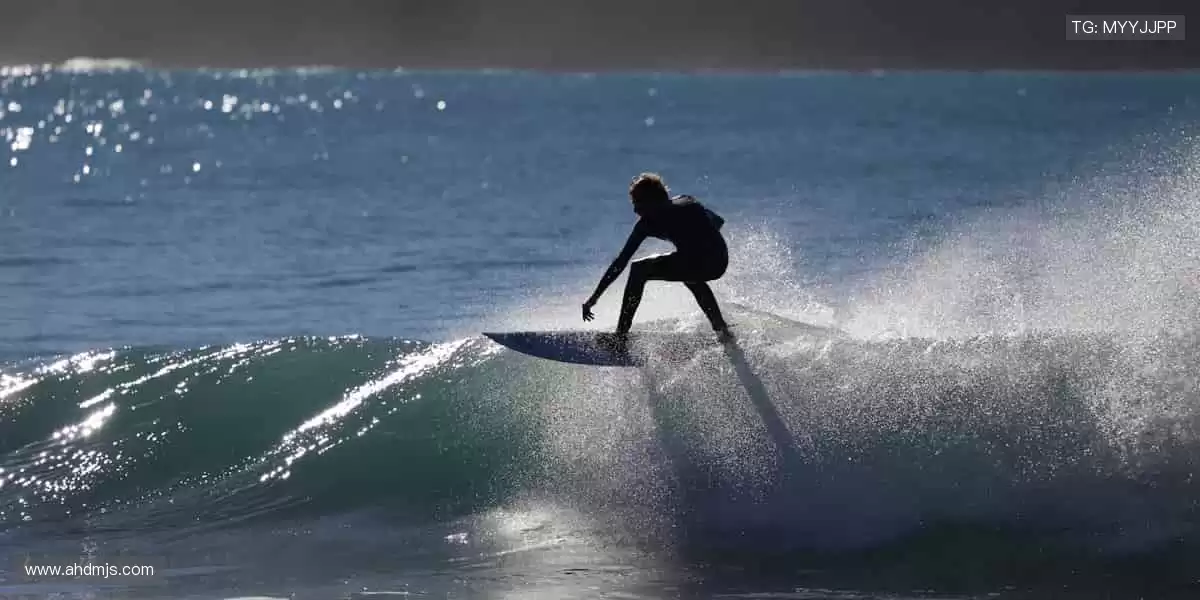 从训练场到直播间,你的热爱全程在线!📱