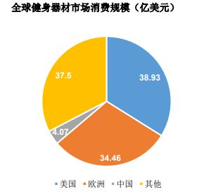 j9com九游会销量第一认证-健身器材市场占有率认证报告（2024版）-中金企信(图1)